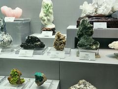 -湖南省地质博物馆