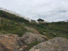 -北岐滩涂