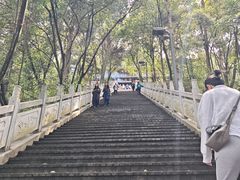 -老君山