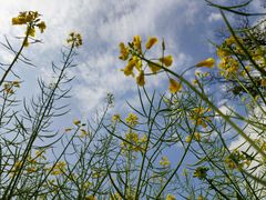 -楠溪江风景名胜区