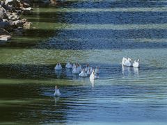 -北京张裕爱斐堡酒庄