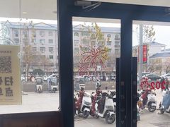 -雾与山茶(大禹城店)