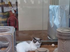 -乐宠宠物店(世纪金源店)