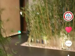 -新紫霞养生·影院足道·SPA(金山区店)