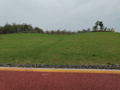 -九龙湖公园