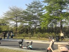 -东莞植物园
