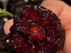 -堤口果品批发市场