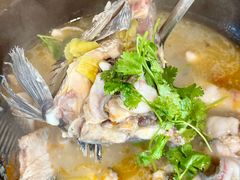-大鼎石锅鱼(春江里店)