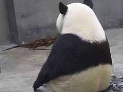 -赛百味(仙林金鹰店)