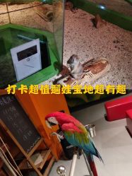 -未来动物城动物主题公园(大悦城店)
