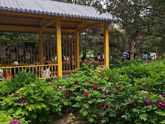 -太阳宫公园