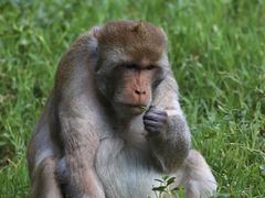 -杭州野生动物世界