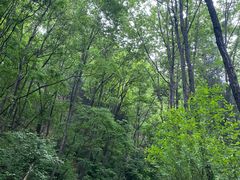 -终南山南五台景区