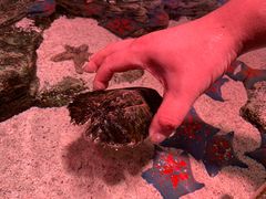 -沈阳海洋探索中心