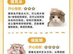 -荔康动物医院(康王北路店)