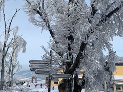 -中旅松花湖滑雪场