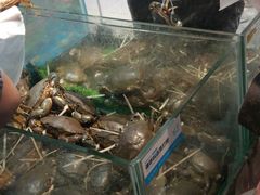 -盒马鲜生(曜一城店)