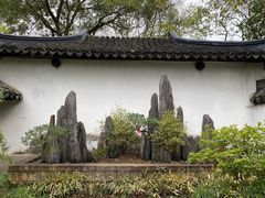 -上海醉白池公园