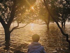 -宝安西湾红树林湿地公园