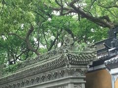 -普陀山风景名胜区-法雨禅寺