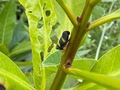 -水濂山森林公园