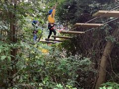 -芦仙山景区-飞越丛林探险乐园