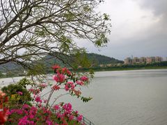 -风云岭森林公园