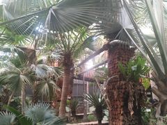 景点-呀路古热带植物园