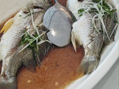 -闽海肴(北辰荟店)