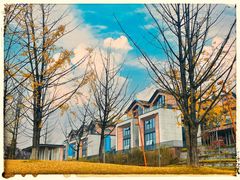 -铁山坪森林公园