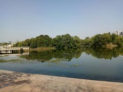 -新江湾城公园