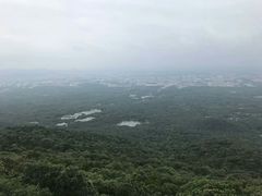 -紫金山天文台