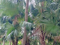 -白沙门生态公园