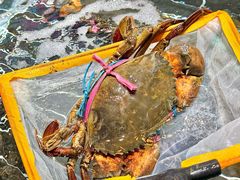 -黄弟大排档·湖南菜·小龙虾·小海鲜(凯旋北路店)