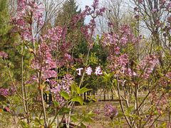 -东升八家郊野公园