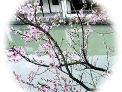 -黎里古镇