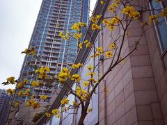 -香港回归祖国纪念碑