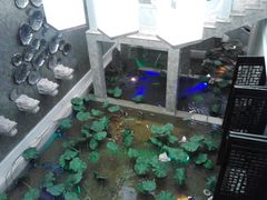 -海通1号(梅峰店)