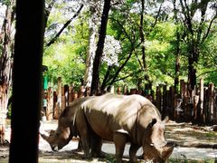 -北京野生动物园