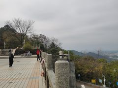 -风云岭森林公园