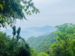 -西安祥峪森林公园