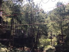 -梦幻奥陶纪景区