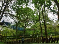 -WeLope紫金山探险公园