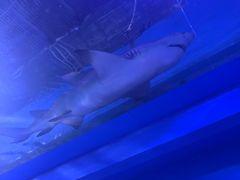 -常州海昌海洋探索馆