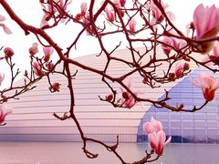 -国家大剧院