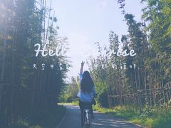 -白鹭湾湿地公园