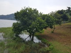 景点-湖光岩风景区