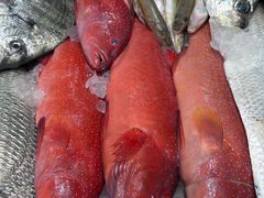 -兴仙饭店·闽味海鲜(马尾总店)