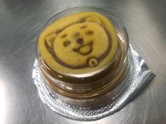 -哆趣宠物医院·眼科·内镜·急重症转诊中心(上海店)