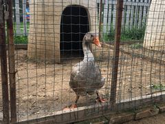 -意大利农场度假村